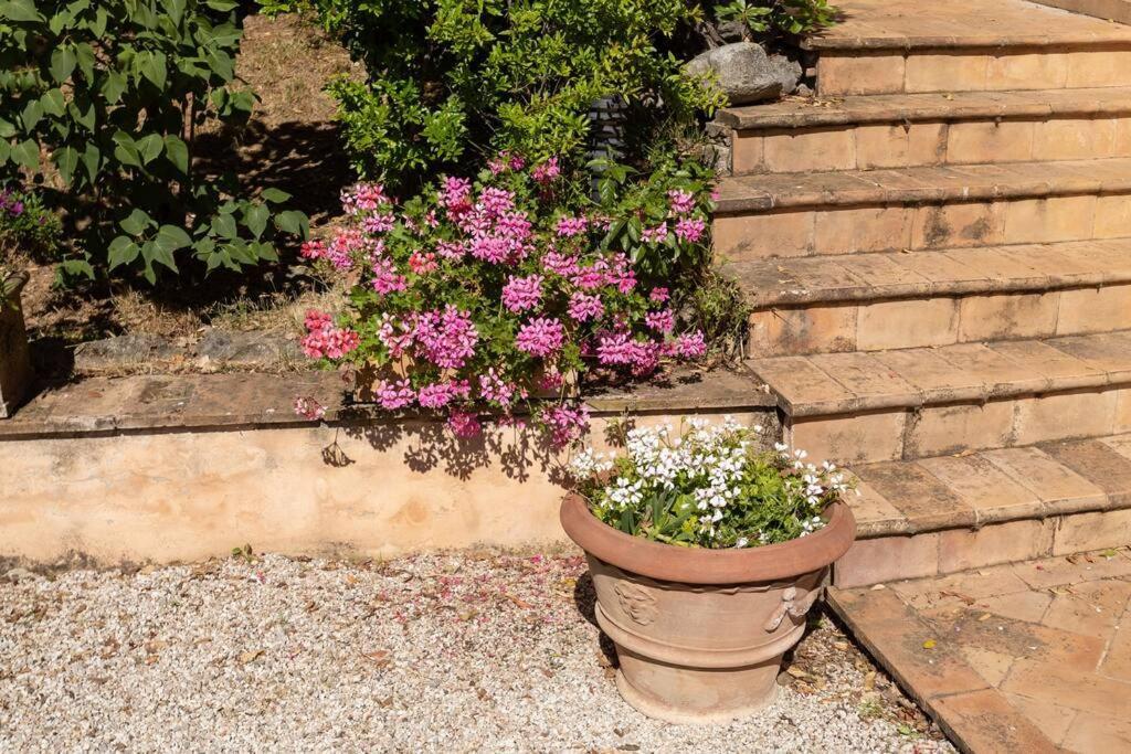 Apartment In Nature,10Min From City Perugia Esterno foto